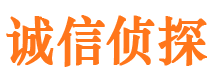 云龙市侦探调查公司